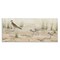 Stupell Industries Kildeer Birds Stepping Canvas Wall Art Design by Valerie Rogers